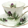 Adderley Ceramics Thistle Cup & Saucer with Gold Trim- Teacups & Saucers