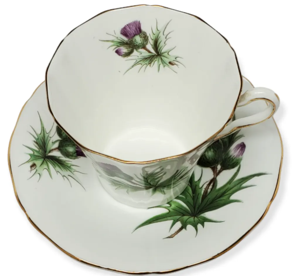 Adderley Ceramics Thistle Cup & Saucer with Gold Trim- Teacups & Saucers