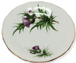 Adderley Ceramics Thistle Cup & Saucer with Gold Trim- Teacups & Saucers