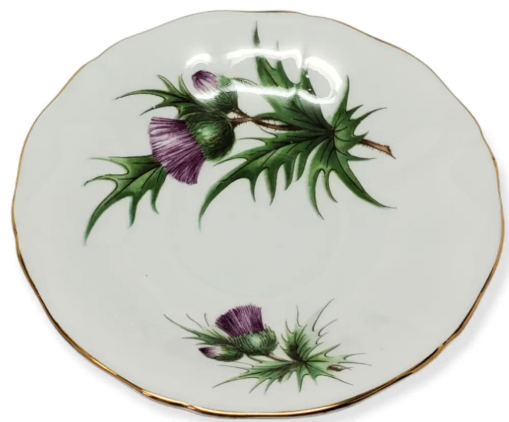 Adderley Ceramics Thistle Cup & Saucer with Gold Trim- Teacups & Saucers