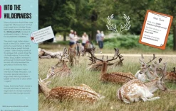 A Kid's Guide to London- Books|Souvenirs