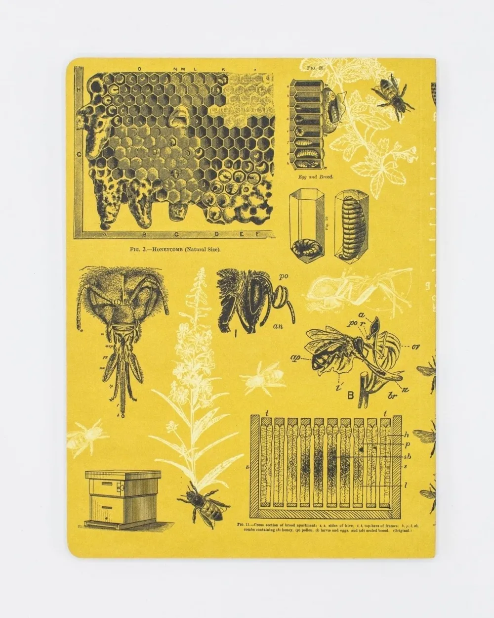 Bees Softcover Notebook (Lined)- Journals & Other Stationery