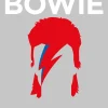 Biographic Bowie- Books|Cultural Icons