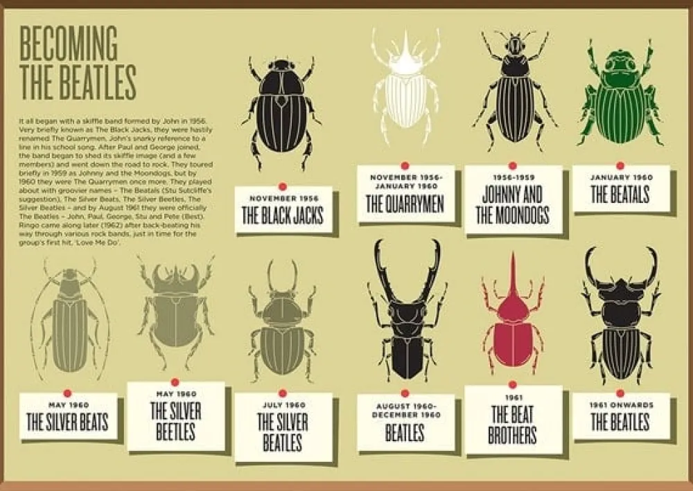 Biographic The Beatles- Books|Cultural Icons