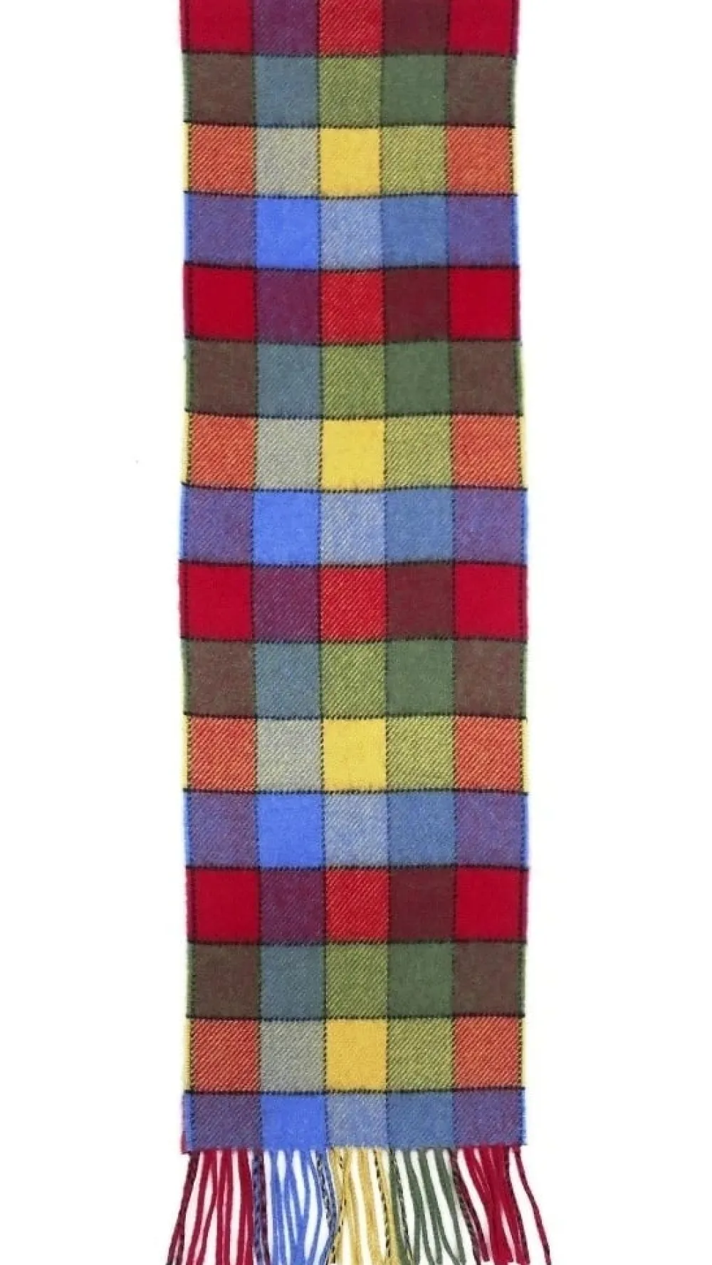 Calzeat of Scotland Lagos Funfair Border Lambswool Scarf- Scarves & Wraps