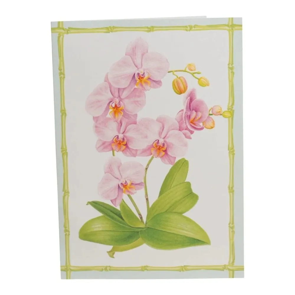 Caspari Orchid Conservatory Thank You Boxed Cards- Boxed Cards