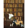 Caspari The Library Set of 8 Boxed Notecards- Boxed Cards
