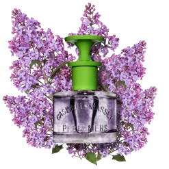 Caswell-Massey Lilac Eau de Toilette 60ml-Women Women's Fragrance