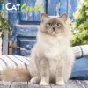 Cat Lovers 2026 Mini Wall Calendar- Calendars