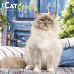 Cat Lovers 2026 Mini Wall Calendar- Calendars