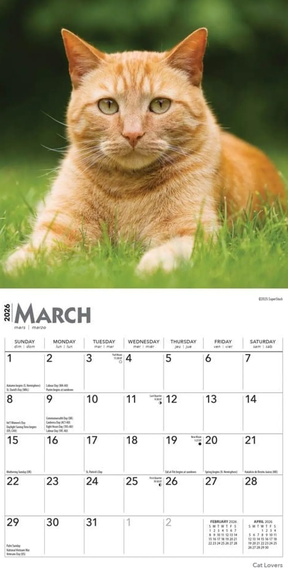 Cat Lovers 2026 Mini Wall Calendar- Calendars