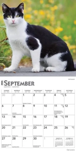 Cat Lovers 2026 Mini Wall Calendar- Calendars