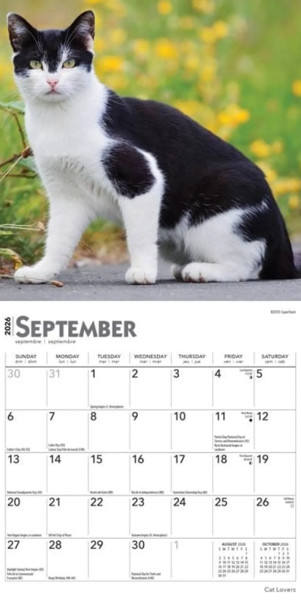 Cat Lovers 2026 Mini Wall Calendar- Calendars
