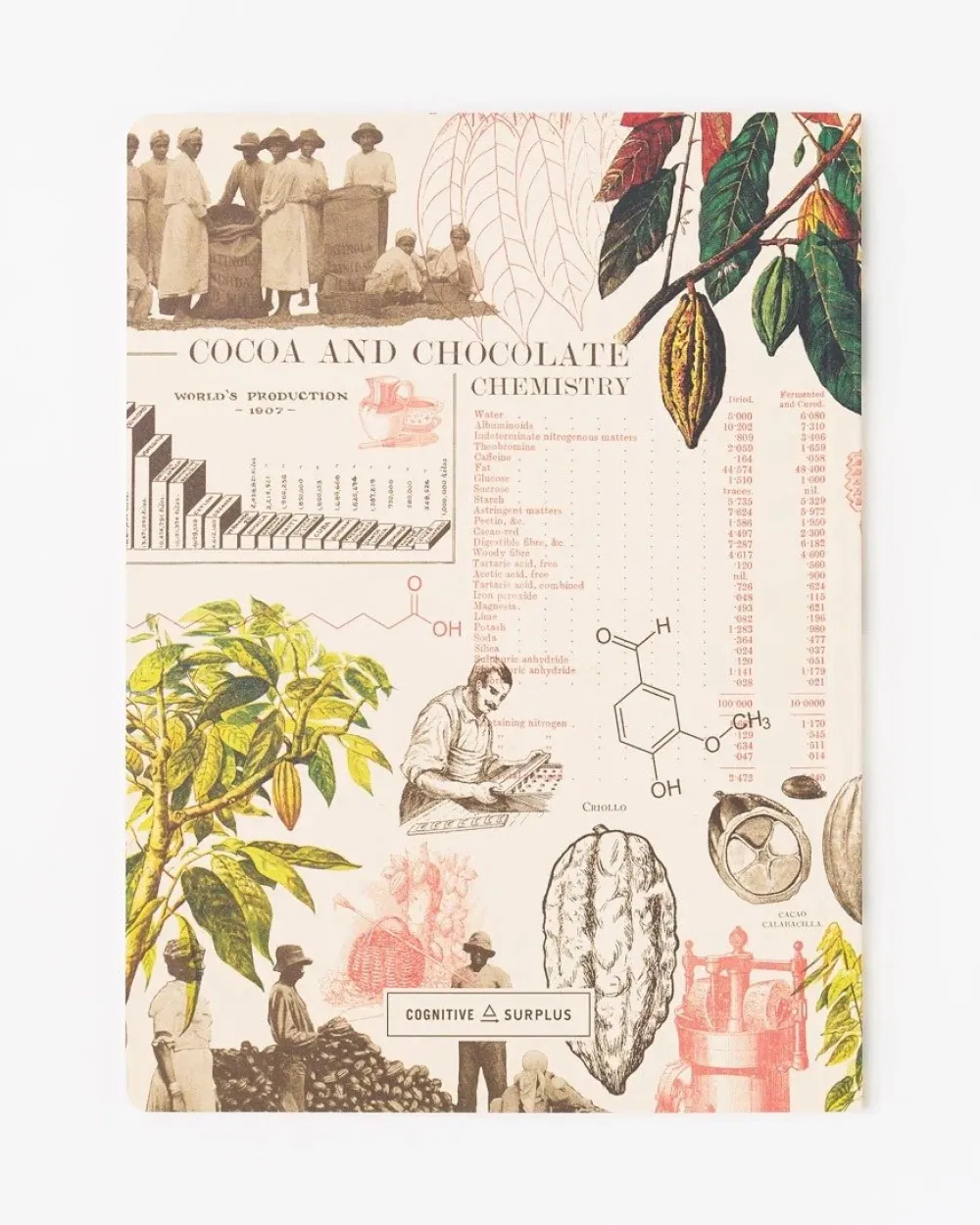 Chocolate Making Science Softcover Notebook (Lined)- Journals & Other Stationery