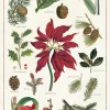 Christmas Botanicals Tea Towel- Tea Towels