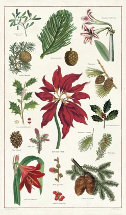 Christmas Botanicals Tea Towel- Tea Towels
