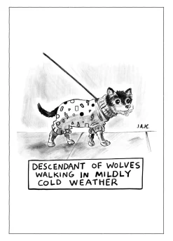 Descendant of Wolves Greeting Card- Greeting Cards