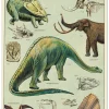 Dinosaurs Card- Greeting Cards