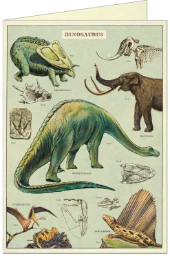 Dinosaurs Card- Greeting Cards