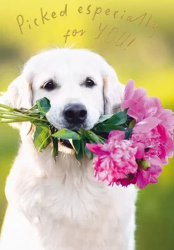 Dog with Flower Bouquet Birthday Card- Greeting Cards