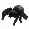 Douglas Toys Sneakie Spider- Soft Toys|Toys