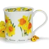 Dunoon Bute Spring Flowers Daffodil Mug- Shape: Bute