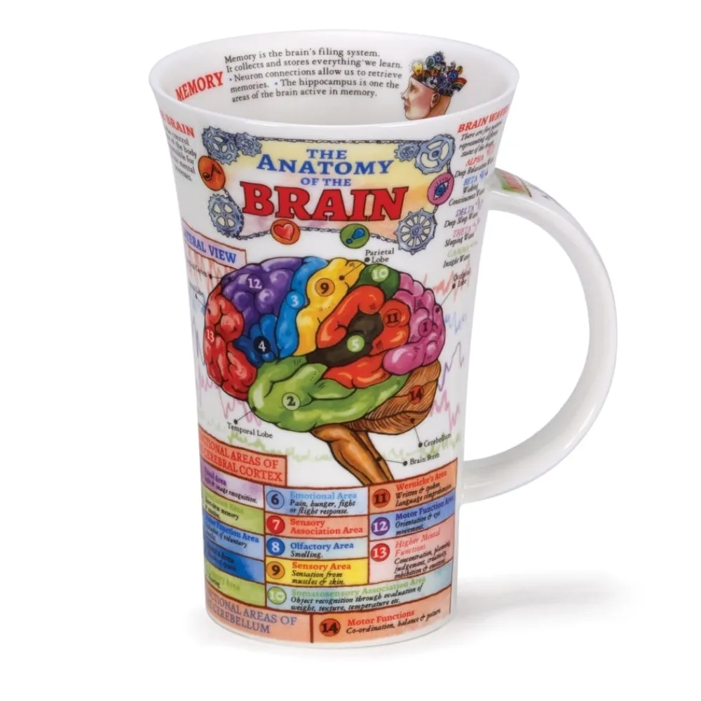 Dunoon Glencoe The Brain Mug- Shape: Glencoe
