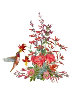 Erin E. Hunter: Pollinators Boxed Notecards- Boxed Cards