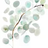 Eucalyptus Sympathy Card- Greeting Cards