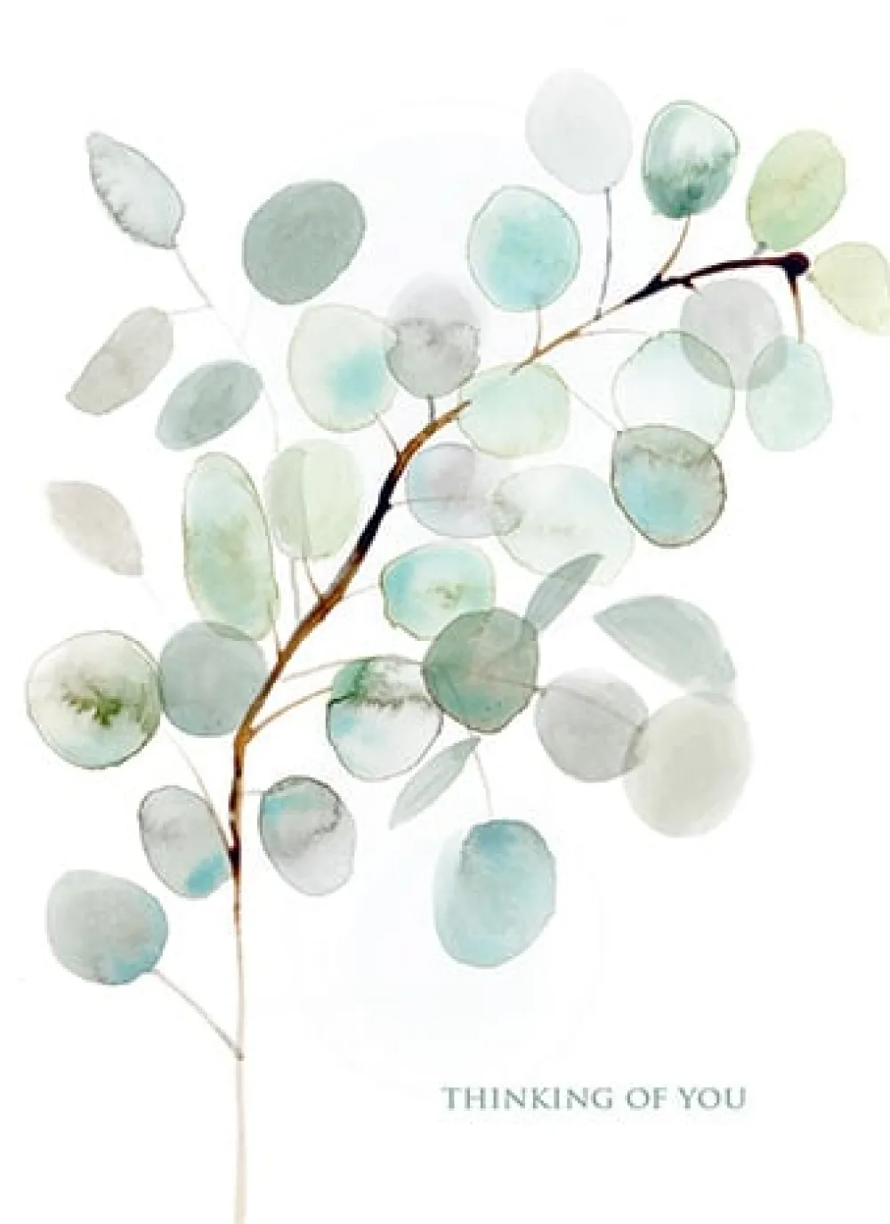 Eucalyptus Sympathy Card- Greeting Cards