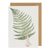 Fabulous Ferns 3 Greeting Card- Greeting Cards