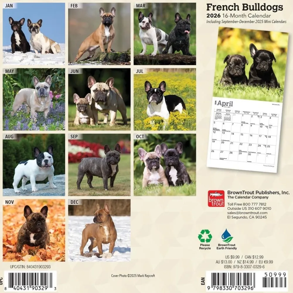 French Bulldogs 2026 Mini Wall Calendar- Calendars