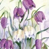 Fritillary Lawn Sympathy Card- Greeting Cards