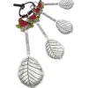 GANZ Cardinal Measuring Spoons Set- Kitchen Tools