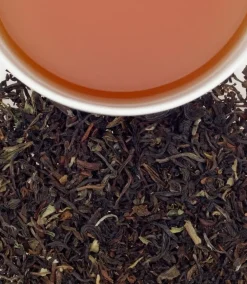 Harney & Sons Darjeeling 20s- Harney & Sons