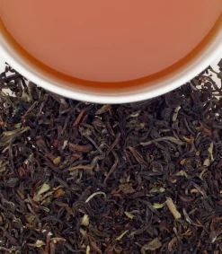 Harney & Sons Darjeeling 50s- Harney & Sons