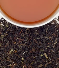 Harney & Sons Darjeeling Loose Leaf Tin- Harney & Sons