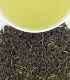 Harney & Sons Japanese Sencha Premium Green 20s- Harney & Sons