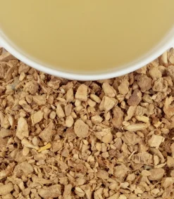 Harney & Sons Organic Ginger Lemon Herbal HT 20s- Harney & Sons