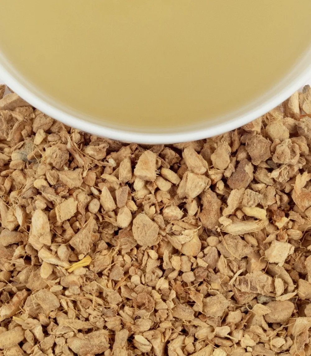 Harney & Sons Organic Ginger Lemon Herbal HT 20s- Harney & Sons