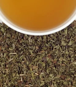 Harney & Sons Peppermint Herbal 20s- Harney & Sons