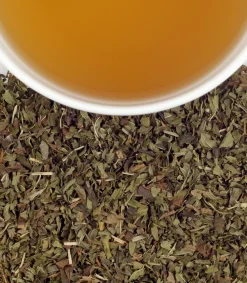 Harney & Sons Peppermint Herbal 50s- Harney & Sons