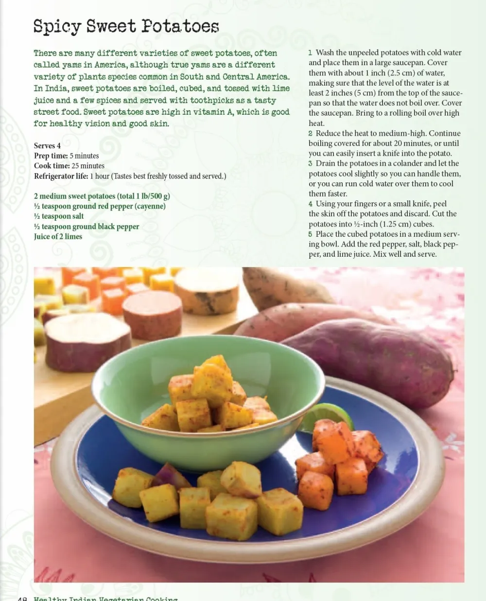 Healthy Indian Vegetarian Cooking: Easy Recipes for the Hurry Home Cook- Books