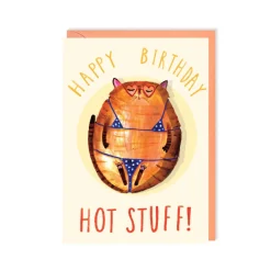 Hot Stuff Cat Birthday Card- Greeting Cards