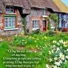 Irish Birthday Wishes Card- Greeting Cards