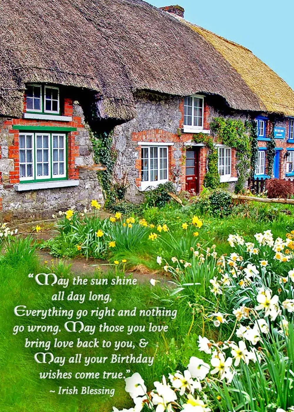 Irish Birthday Wishes Card- Greeting Cards