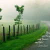 James Joyce Sympathy Card- Greeting Cards