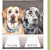 Lab Tests Greeting Card- Greeting Cards