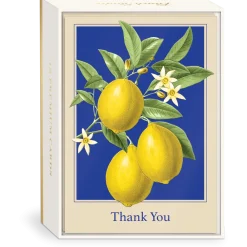 Lemons Boxed Thank You Cards- Boxed Cards