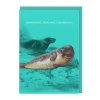 Moisturised Seal Card- Greeting Cards